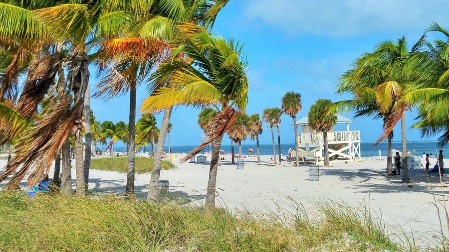 Miami Open Crandon Park: Everything You Need to Know (Simple Guide)