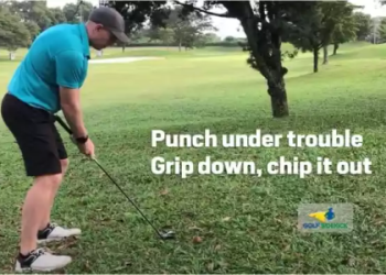 Flop Shot vs Lob Shot: Simple Tips to Choose the Right Shot for Beginners!