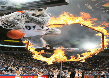 Minnesota Timberwolves Mascot: Meet Crunch the Wolf!