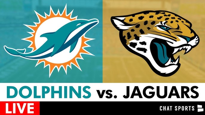 Live Miami Dolphins Box Score: Follow the Game in Real-Time
