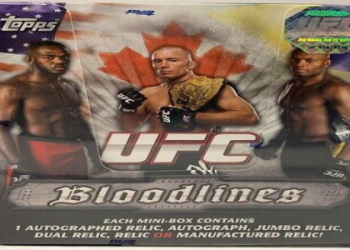 Is buying an immaculate ufc hobby box a good idea? We review the value for collectors like you.