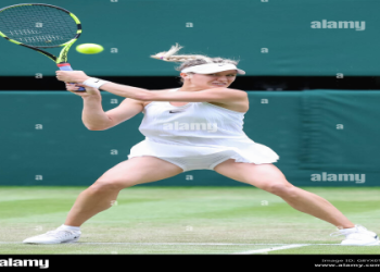 Revisiting Grigor Dimitrov and Eugenie Bouchards Couple Moments.