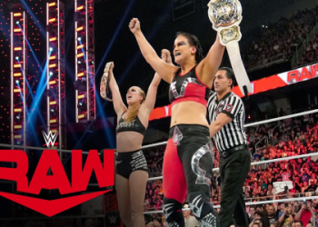 How did the wwe womens tag team champions titles start? Learn the simple history today!